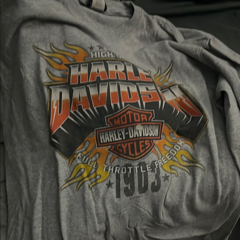 Harley-Davidson Gray Sweatshirt with Orange Flames